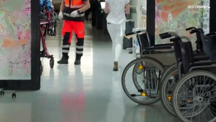 سلوفاكيا: دب يهاجم رجلا مسنا في غابة بالقرب من بريفيدزا