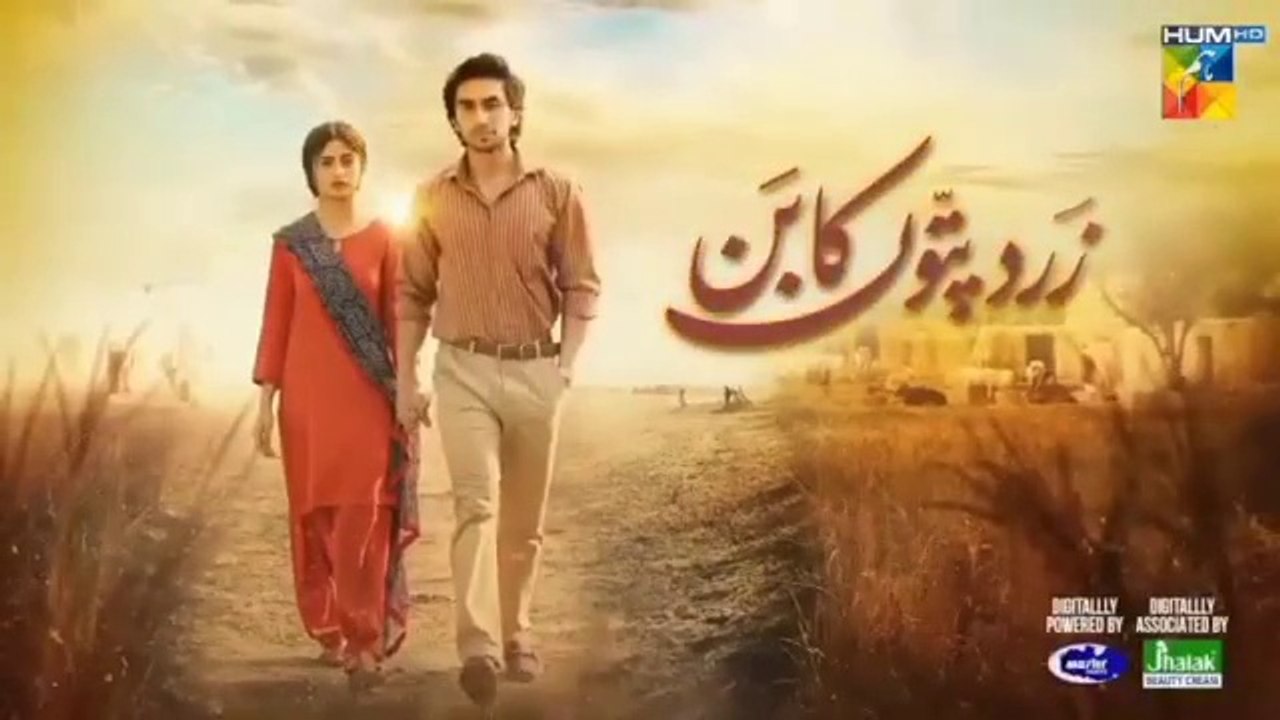 Zard Patton Ka Bunn - 2nd Last Episode 24 [CC] - 20th Oct 24 - HUM TV - Zard Patton Ka Bunn Ep 24