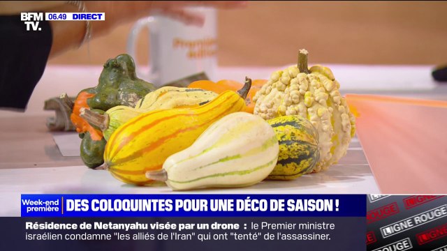 Les coloquintes, ces légumes moches parfaits pour la décoration d'Halloween