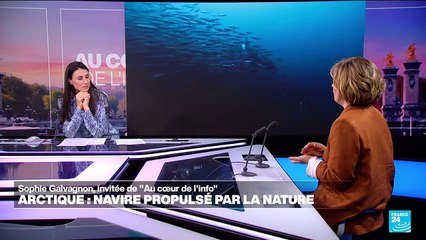 Des navires propulsés par la nature en Arctique : une révolution pour préserver cet espace fragile ?