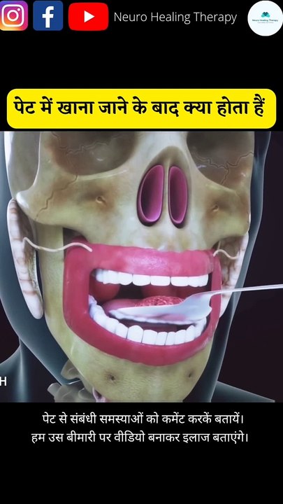 खाना शरीर में कैसे सफर करता है #shorts #shortvideo