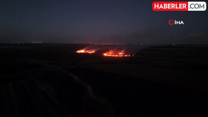 Diyarbakır'da Anız Yangını Görüntülendi