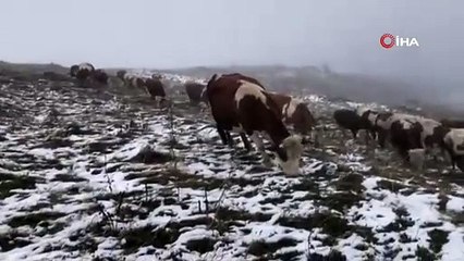 Sibirya değil Türkiye: Kara kış bu sene erken geldi