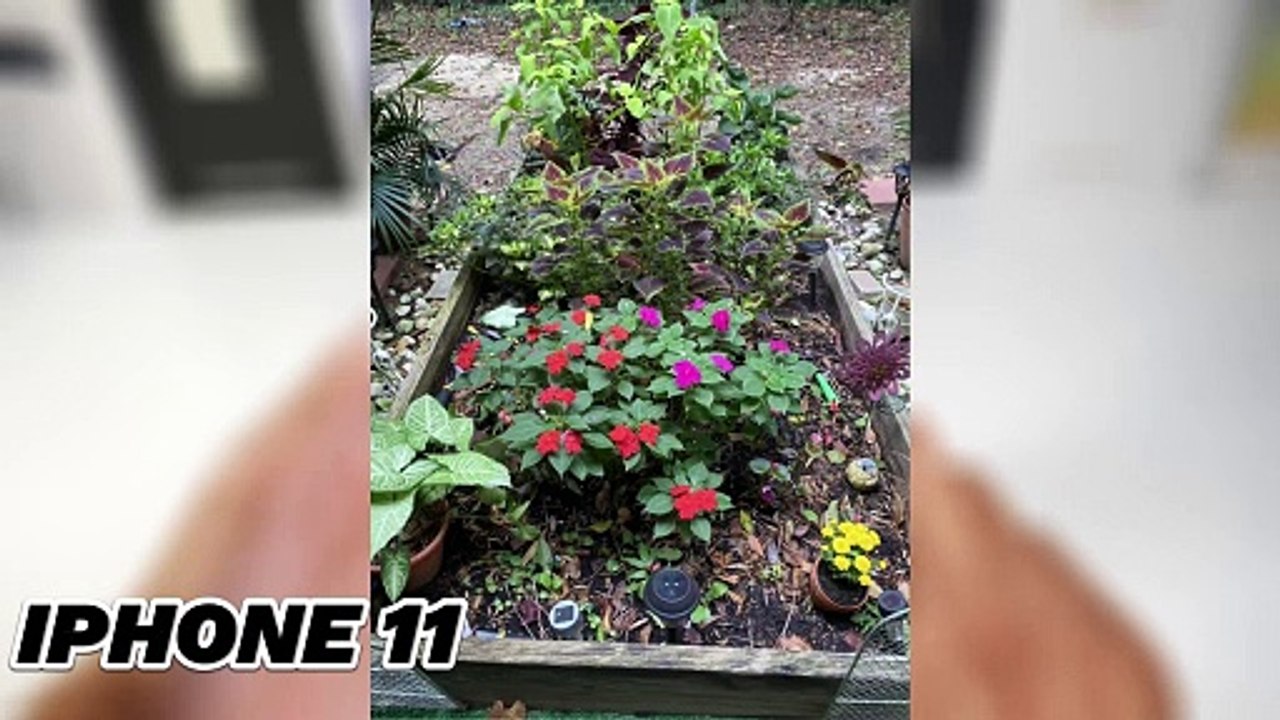 Top 5 Best 150 Budget Smartphones To Buy In Late 2024 (Cheap