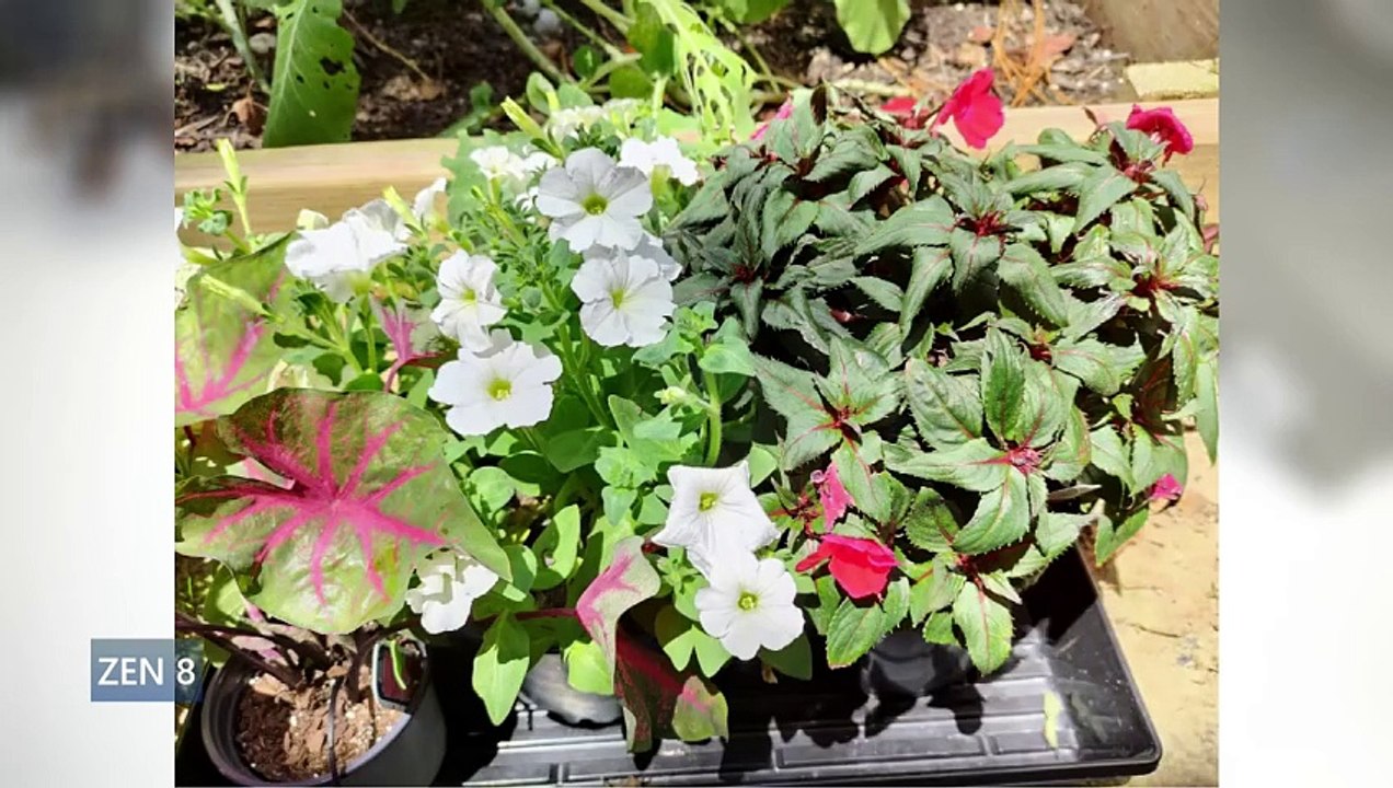 Top 5 Best CompactSmall Screen Phones! (Under 6Inches) 20222023