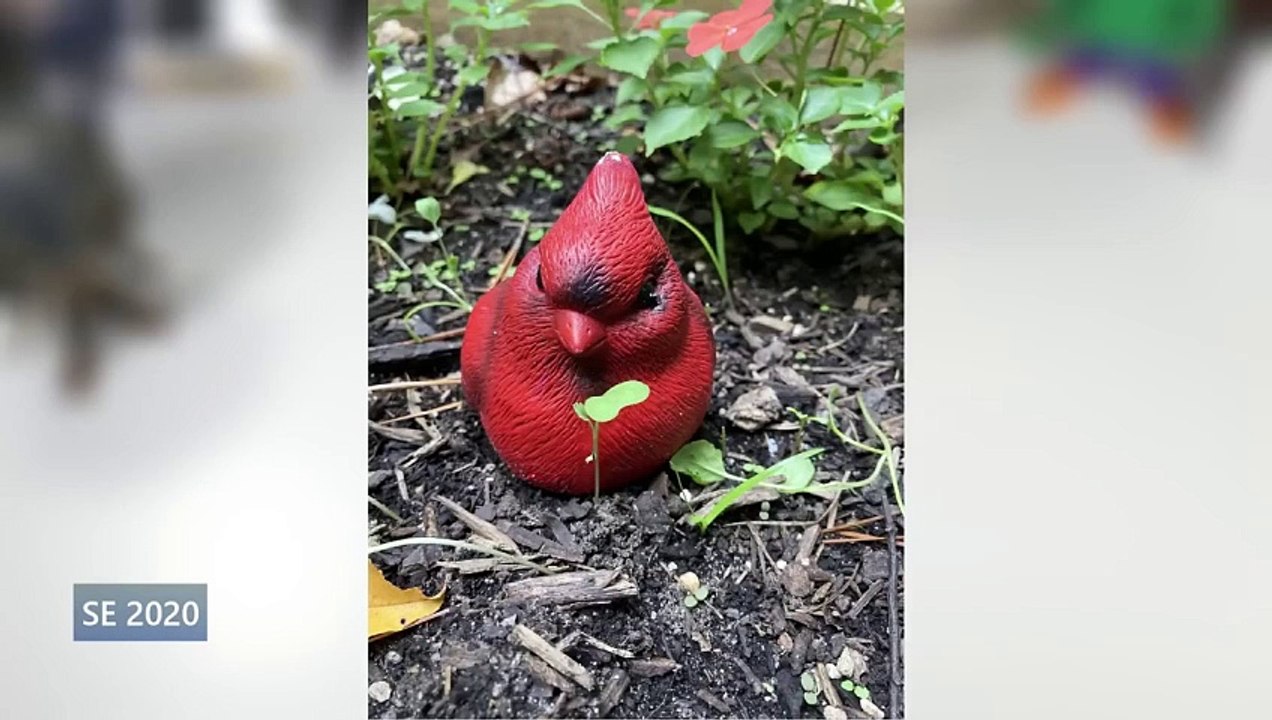 Top 5 Best MidRange Phones You Should Buy In 20222023! (200400