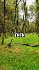 The Status of Mothers in Islam ☪️ #shorts