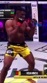 Francis NGANNOU détruit Renan Ferreira