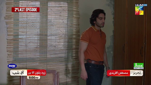 Zard Patton Ka Bunn - 2nd Last Ep 24 Promo - Tonight At 08 Pm Only On HUM TV