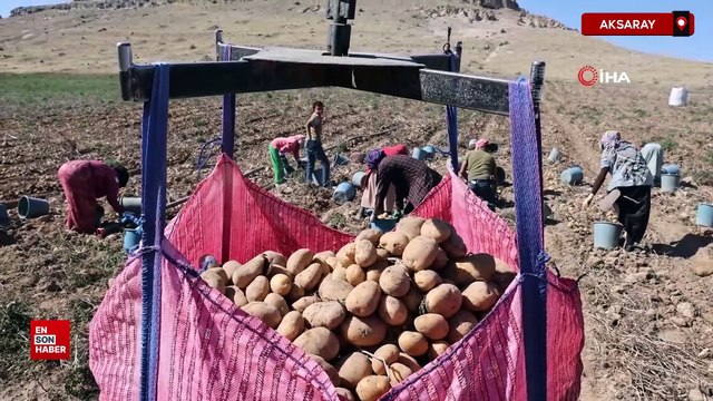 Aksaray'da patates tarlada 2, pazarda 10 lira
