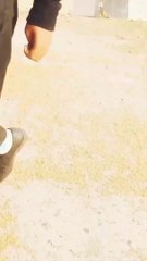 Amit zacker in gurgaon haryana | sector 66 noida sector 66