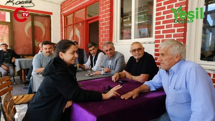 İstanbul'un mandaları: Erdoğan 'manda yoğurdu' tavsiye etmişti ama İstanbul'da mandacılık bitti