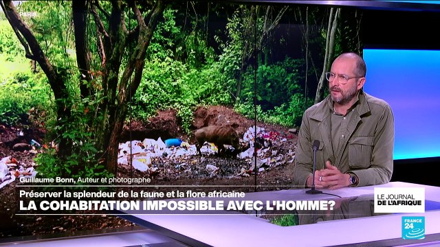 Préserver la splendeur de la faune et la flore africaine : une mission impossible ?