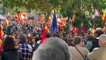 Manifestantes contra Pedro Sánchez: "¡Que se vaya ya!"