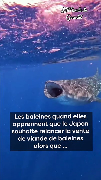 La non logique de la pêche !