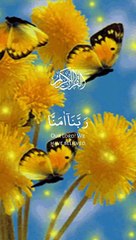 ya Allah ham pe raham farma☝️❤️