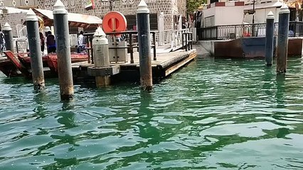 Dubai Travelling