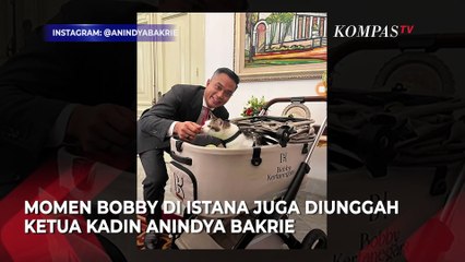 Momen Bobby Kertanegara, Kucing Prabowo Masuk Istana Negara