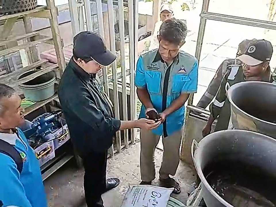 BRGM Pantau Hasil Kerja Revegetasi di Desa Bangsal