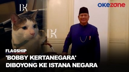 Gemesnya Bobby Kertanegara, Kucing Peliharaan Presiden Prabowo yang Diboyong ke Istana Negara
