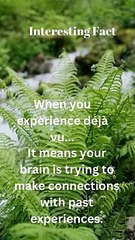 Best powerful inspiration speech  #shorts