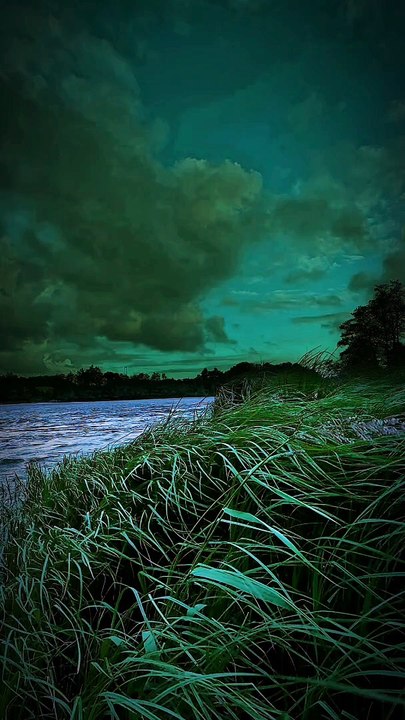 All Times Best Musical Video Ever "ZEM TV Hit Documentaries, Movies, Music Videos,