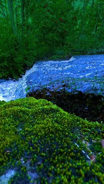 All Time Fav Musical Theme Video ZEM TV Hit Documentaries, Movies, Music Videos,