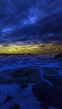 All Time Fav Musical Theme Video ZEM TV Hit Documentaries, Movies, Music Videos,