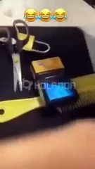 Jovem é preso por oferecer drogas e álcool a macaco; assista o vídeo