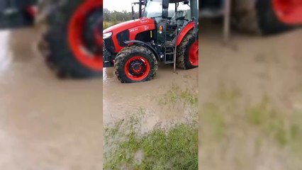 Sinop'ta sağanak nedeniyle çeltik tarlaları su altında kaldı