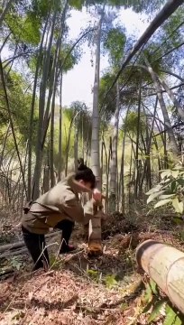 竹子加工成竹片的报价表。 1米 小拱竹片 2米 秧竹片 3米 羊床竹片 4米 漏粪板 牛羊床片 5米 蔬菜种植拱棚片 6米 花卉避雨棚拱片 7米 西瓜大棚竹片 8米 葡萄雨棚竹片 温室大棚骨架 弓棚竹片 市场批发 原头厂家生产加工 价格多少？ 1米 2.5毛 1.5米 4毛 2.米 6毛 2.5米 8毛 3米 1元 35米 1.2元 4米 1.4元 5米 2.5元 6米 3.4元 7米 4.2元 8米 4.6元