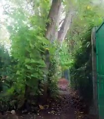 Mais où est la boue ?