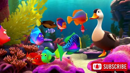 The Bright-Eyed Duck | Fun Kids Rhymes | Nursery Rhymes & Baby Songs | Animation for Kids