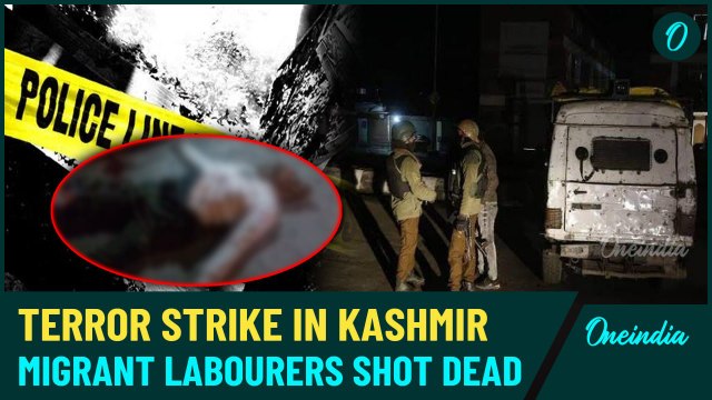 Terror Attack in Jammu & Kashmir: Terrorists Open Fire Leaving 2 Dead Near Tunnel Construction Site