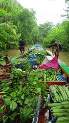 Amazing Boat Loaded With Vegetables