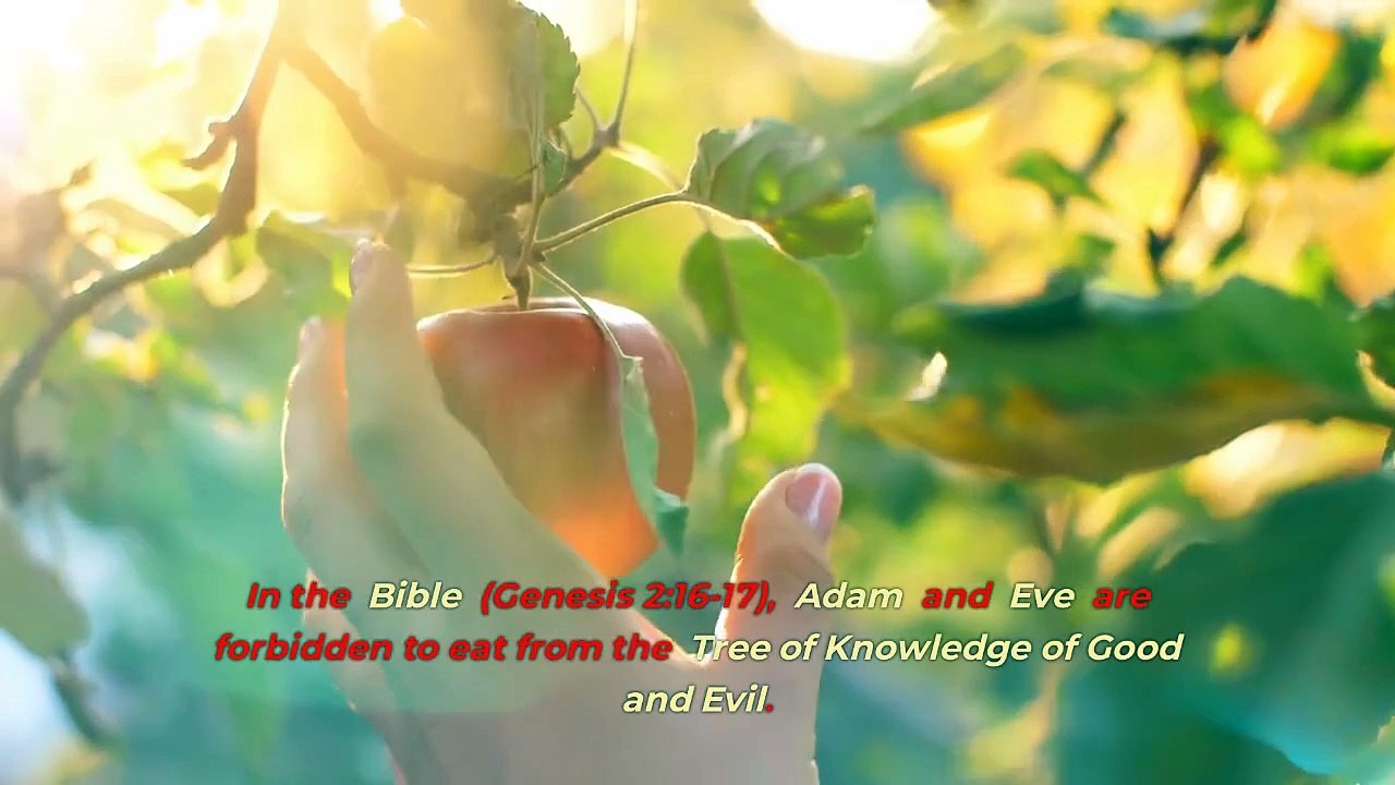 The Story of Adam and Eve A Comparison Between the Quran and the Bible