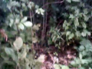 two guitars instrumental