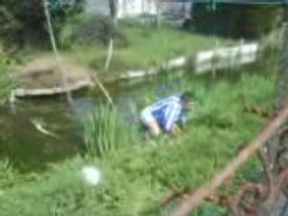 saut l'ami