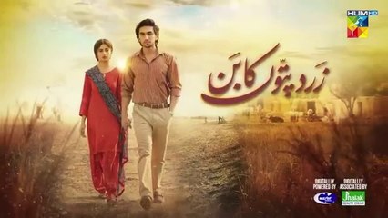 مسلسل باكستاني ورق من ذهب الحلقة 24 مترجم للعربي | مسلسل باكستاني زرد باتون كا بون الحلقة 24 مترجم للعربي مسلسلات باكستانية