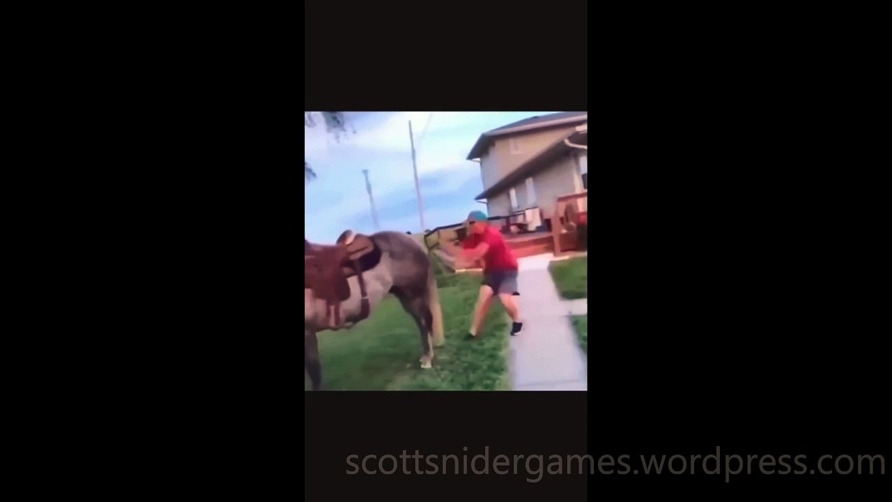 Horse Funny Video #1 (10-20-2024)