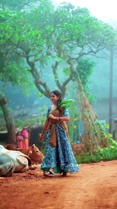 Nature_Quit moment in village_Animation_Cartoons_Funny_entertainment