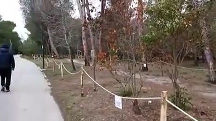 Si torna a passeggiare e pedalare nella Riserva Dannunziana