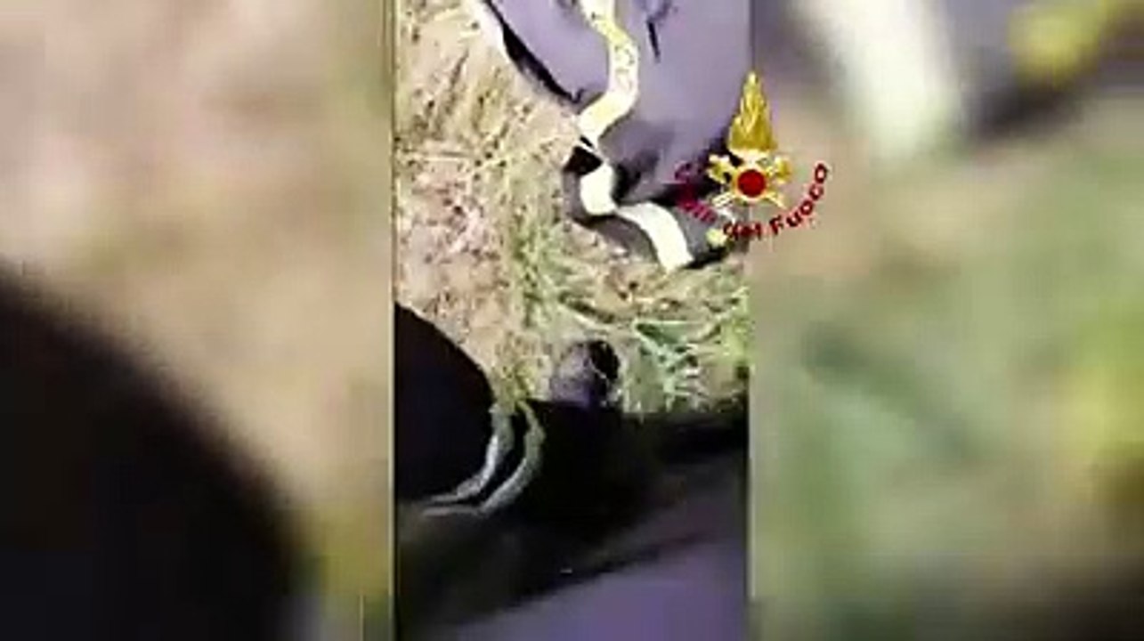 Rientra l'allarme, il momento in cui viene trovata l'anziana che si era allontana dalla casa di riposo
