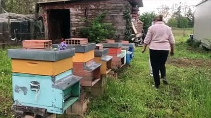 Festa della mamma, dall'Ucraina all'Abruzzo: la storia di Valentina e Janessa