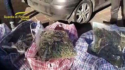 La Guardia di finanza in azione nell'operazione Drug Market