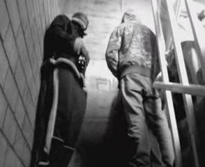 freestyle befa delta flow