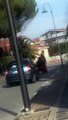 Pescara, cavallo al trotto traina una biga in via Celommi