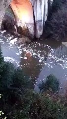 Schiuma nel fiume Vomano, prelievi e indagini