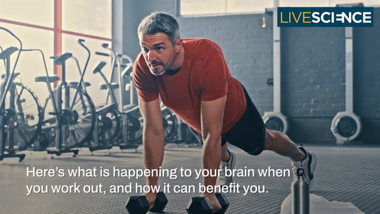 What Does Exercise Do To Your Brain? video Dailymotion