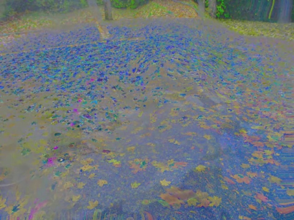 Photos numériques artistiques N°5 _ Diem Nancy